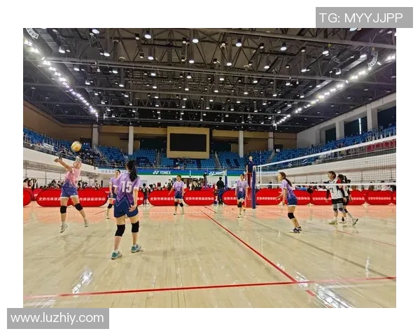 北京排球队在洲际杯积分榜中以65分稳居第一名展现强劲实力